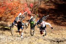 Report & Photos: SCNCA CX Champions Rise to the Top at Hart Park