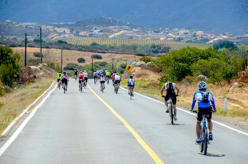 Ruta del Vino Bicycle Ride & Wine Festival | SoCalCycling.com