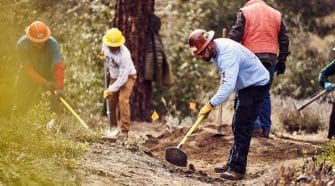 National Forest System Trail Stewardship Grants Awarded for 2023