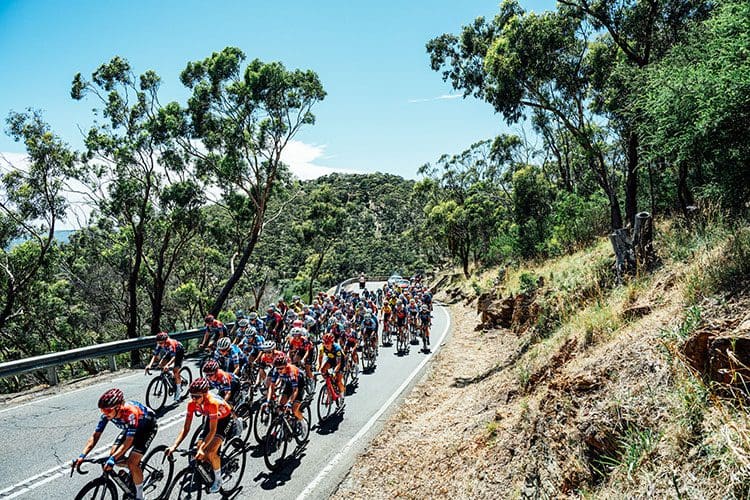 The Santos Tour Down Under, Australia's premier cycling race, draws top global cyclists. Fans and riders can experience world-class competition, exciting festivities, and diverse tourism opportunities at each stage.