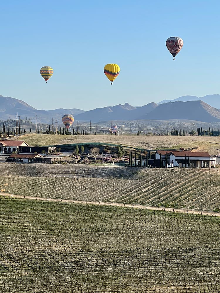 Cycle for Veterans is a scenic, guided tour of the Temecula Wine Country followed by a "Happy Hour" from the host winery Ultimate Vineyards.