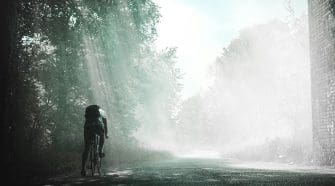 A cyclist riding their bike in the forest