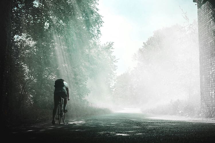 A cyclist riding their bike in the forest