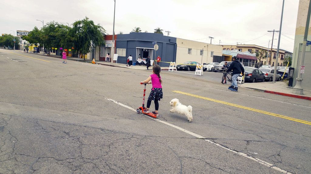 CicLAvia - South LA