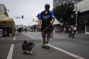 CicLAvia - Heart of  LA